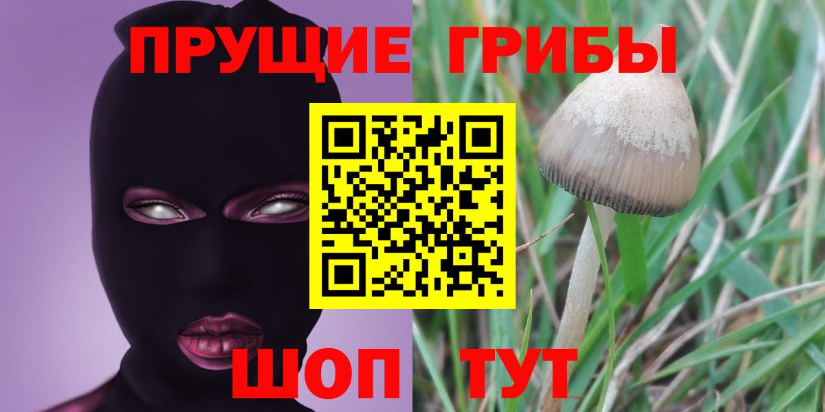 Псилоцибиновые грибы Magic Shrooms Гусь-Хрустальный